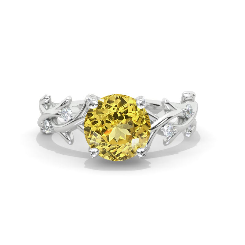 clio-https://clio.giliarto.com/ring/1/563
