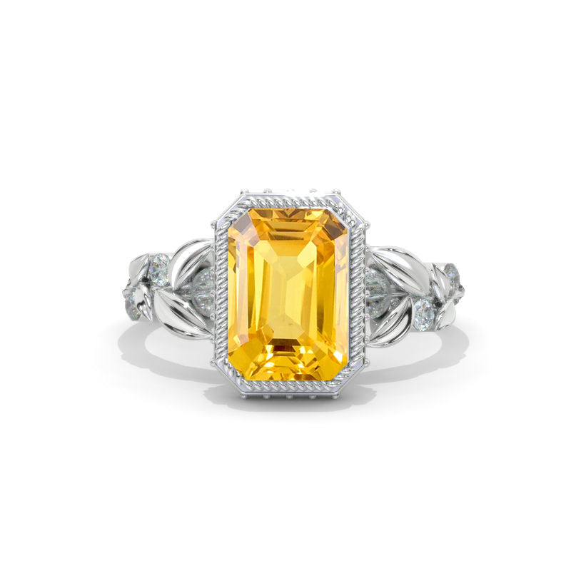 clio-https://clio.giliarto.com/ring/1/1242
