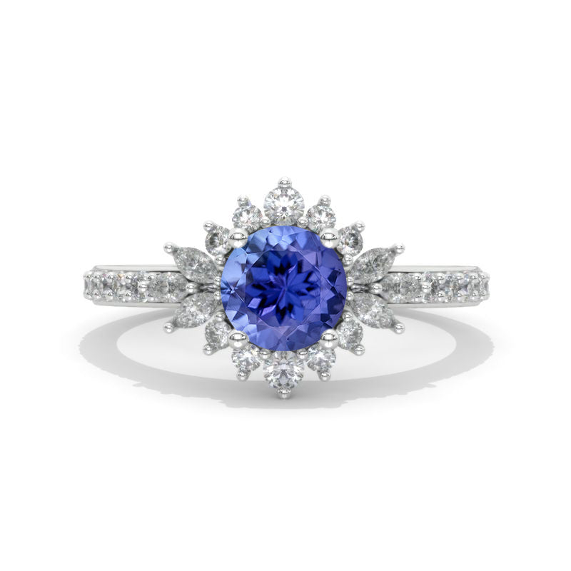 clio-https://clio.giliarto.com/ring/1/491
