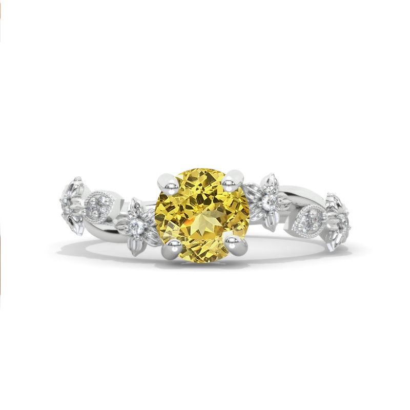 clio-https://clio.giliarto.com/ring/1/898
