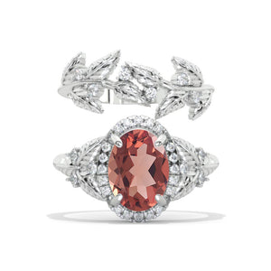 clio-https://clio.giliarto.com/ring/1/972
