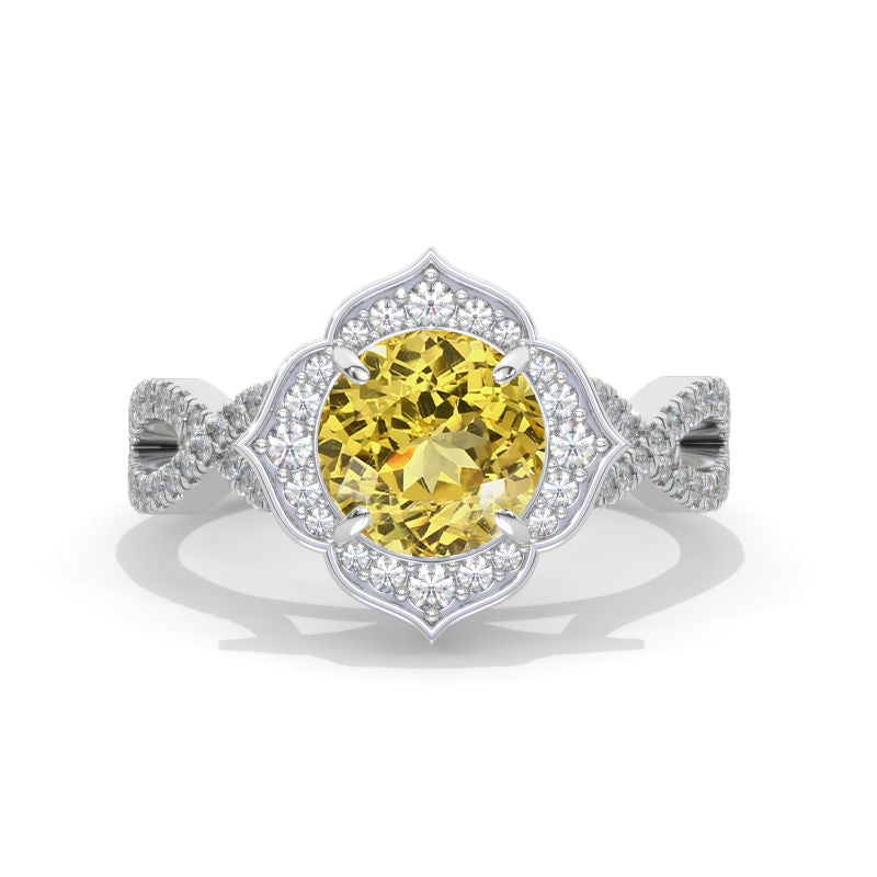 clio-https://clio.giliarto.com/ring/1/953
