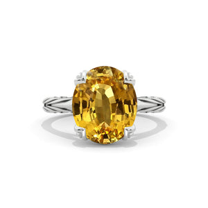 clio-https://clio.giliarto.com/ring/1/589
