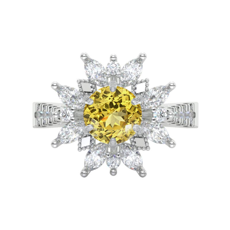 clio-https://clio.giliarto.com/ring/1/1131
