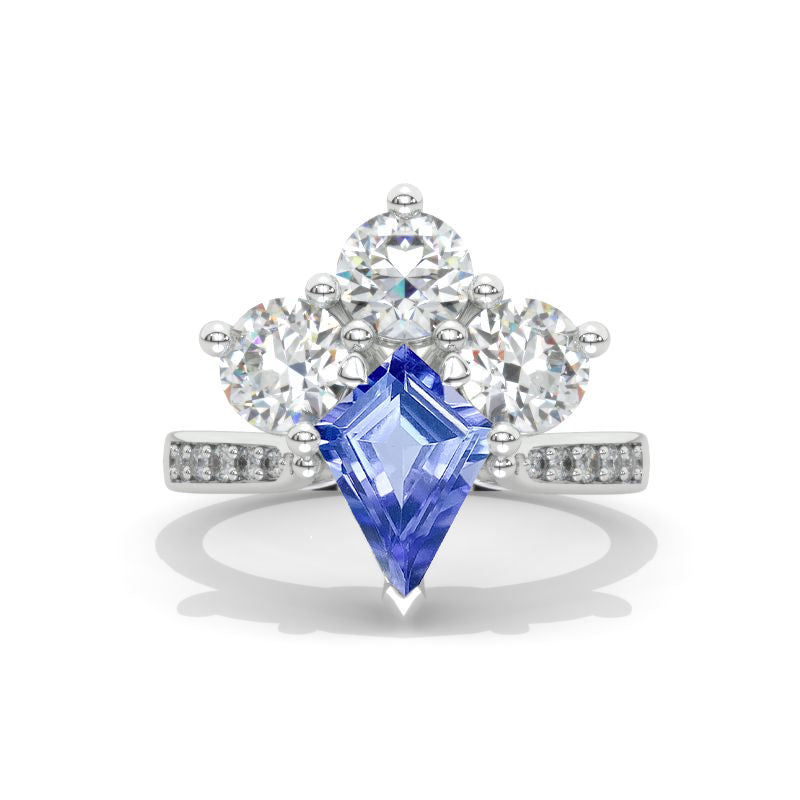 clio-https://clio.giliarto.com/ring/1/1009
