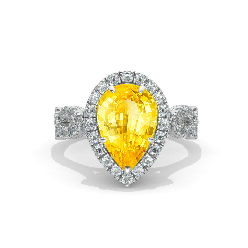 clio-https://clio.giliarto.com/ring/1/1175
