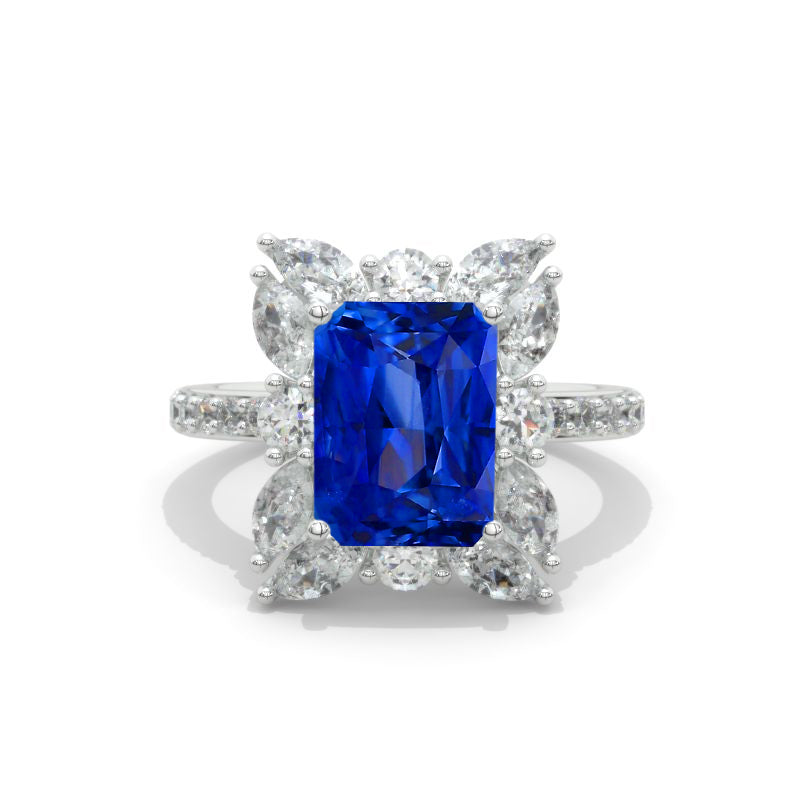 clio-https://clio.giliarto.com/ring/1/427
