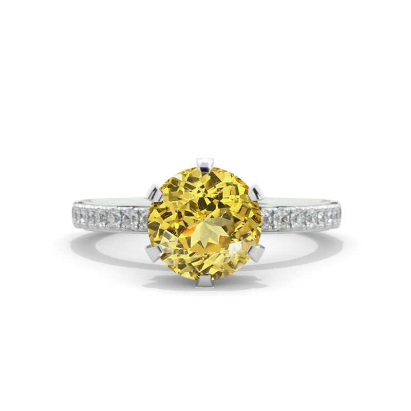 clio-https://clio.giliarto.com/ring/1/457
