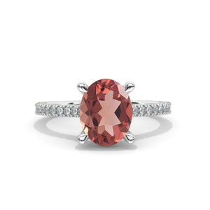 clio-https://clio.giliarto.com/ring/1/513

