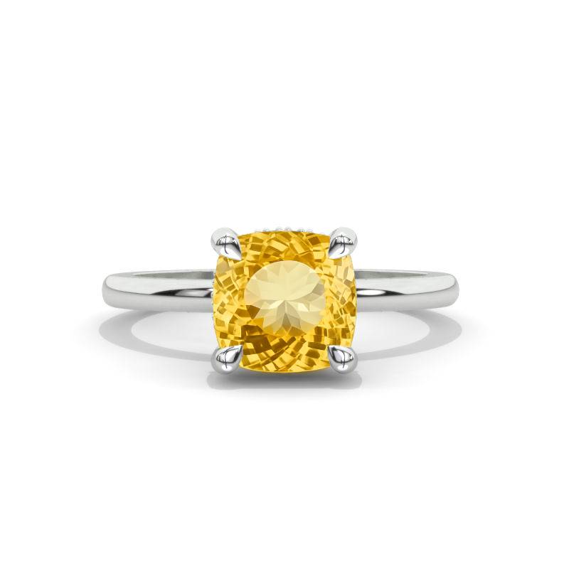 clio-https://clio.giliarto.com/ring/1/707
