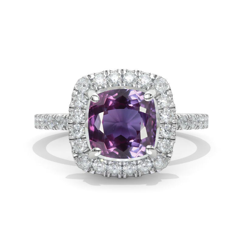 clio-https://clio.giliarto.com/ring/1/901
