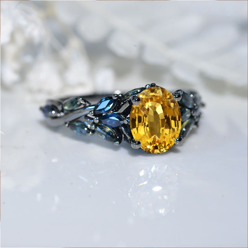 clio-https://clio.giliarto.com/ring/1/817
