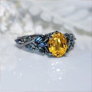 clio-https://clio.giliarto.com/ring/1/1336
