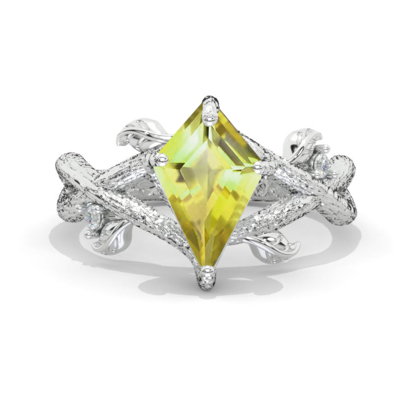 clio-https://clio.giliarto.com/ring/1/803
