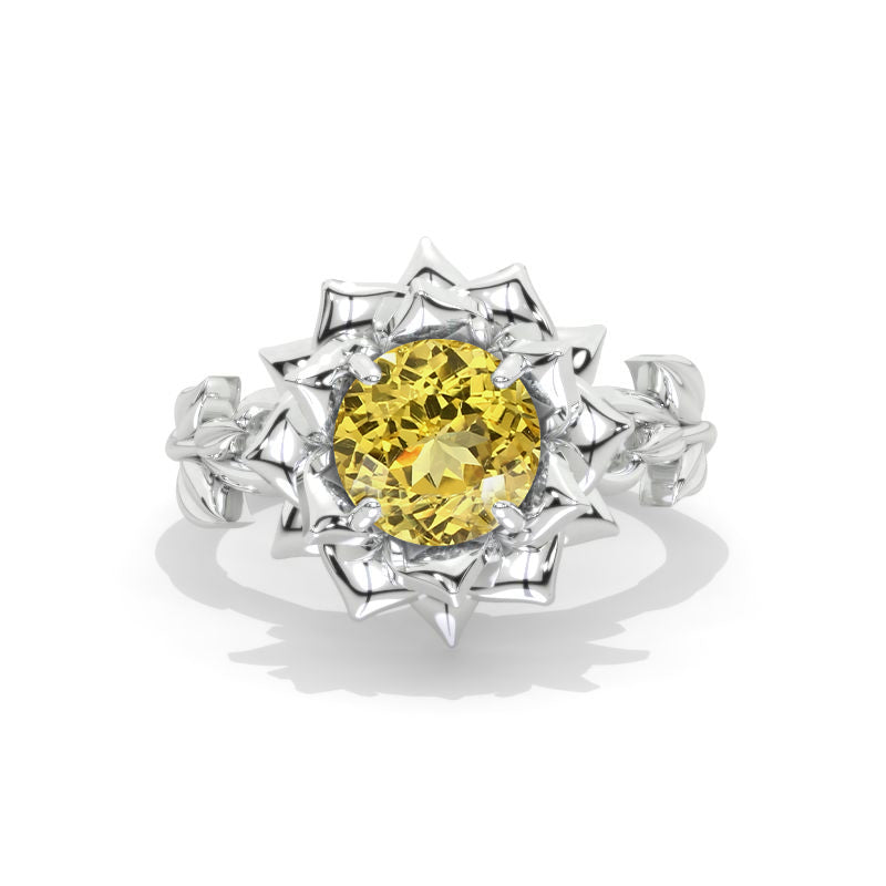clio-https://clio.giliarto.com/ring/1/939
