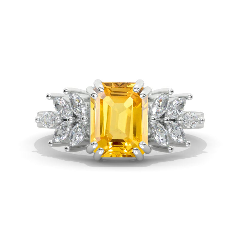 clio-https://clio.giliarto.com/ring/1/962
