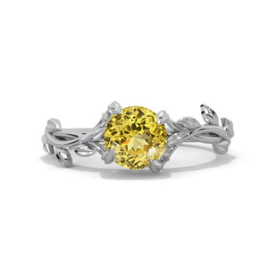 Clio-https://clio.giliarto.com/ring/1/999
