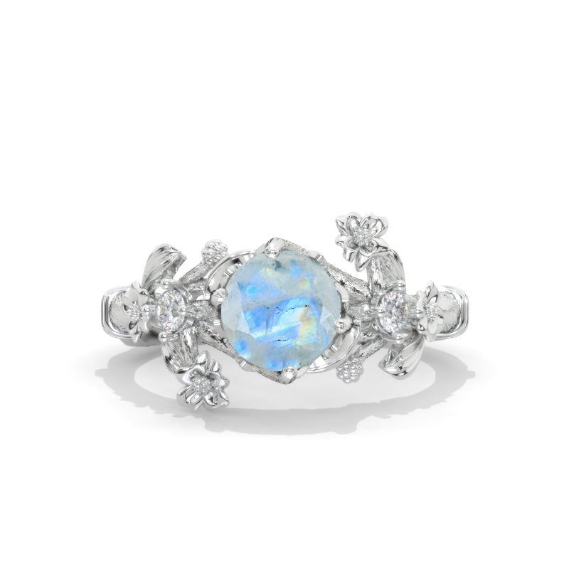 clio-https://clio.giliarto.com/ring/1/988
