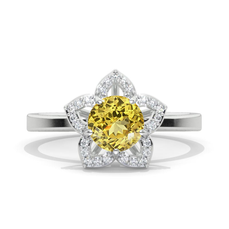 clio-https://clio.giliarto.com/ring/1/998
