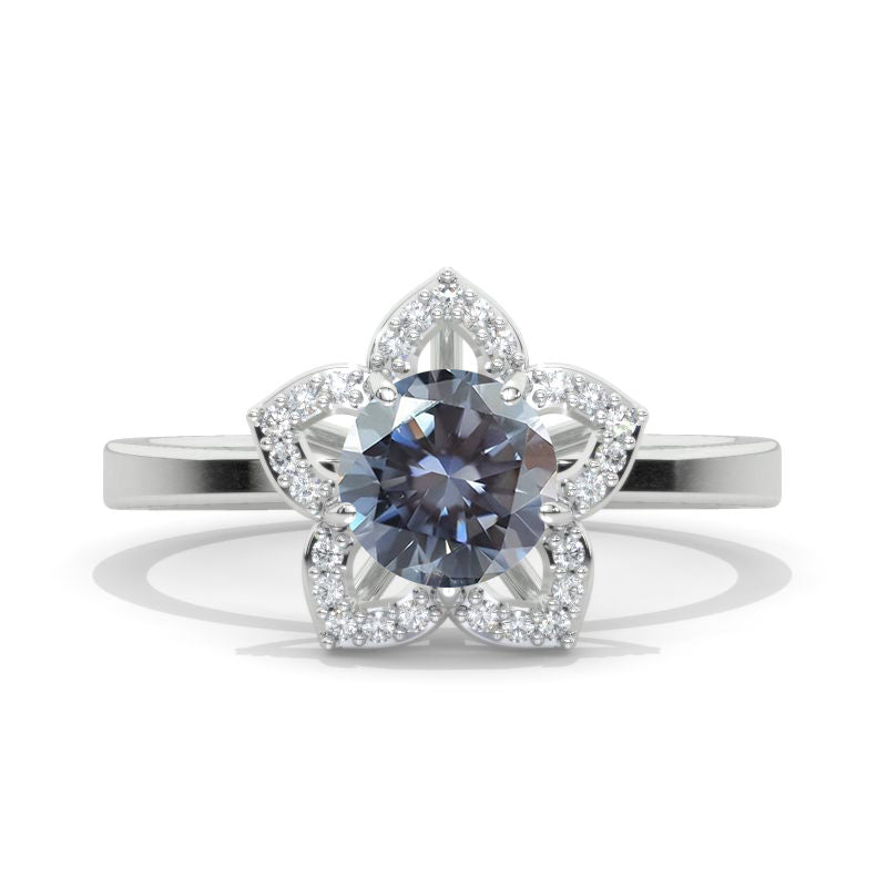 clio-https://clio.giliarto.com/ring/1/998
