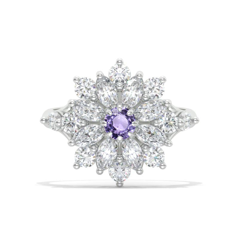 clio-https://clio.giliarto.com/ring/1/1126
