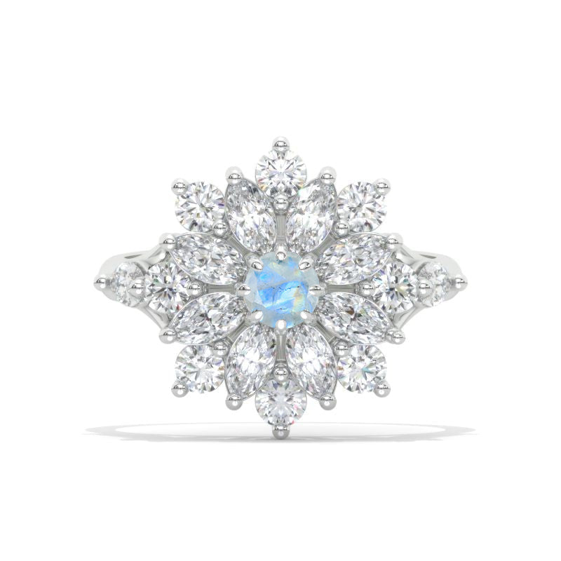 clio-https://clio.giliarto.com/ring/1/1126
