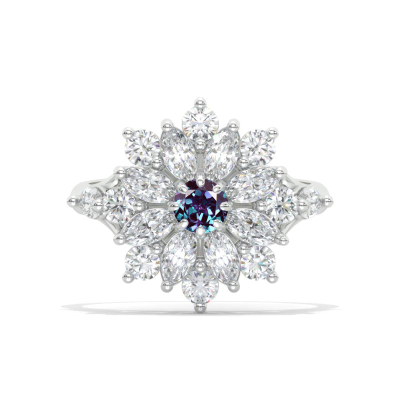 clio-https://clio.giliarto.com/ring/1/1126