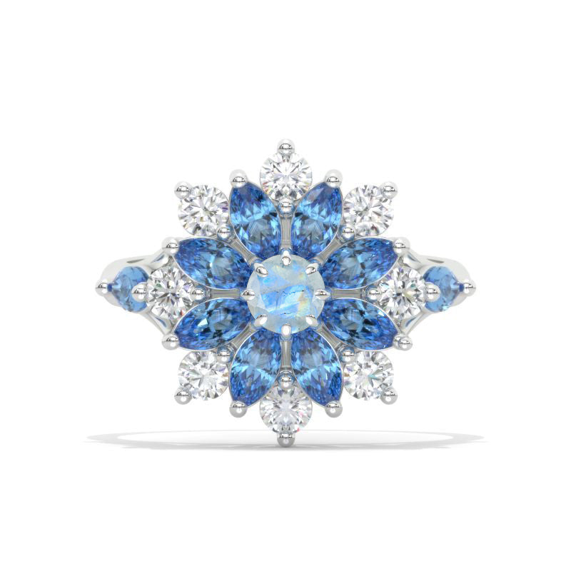 clio-https://clio.giliarto.com/ring/1/1126