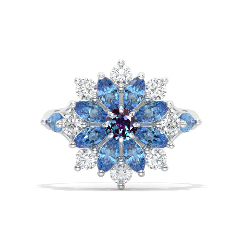 clio-https://clio.giliarto.com/ring/1/1126