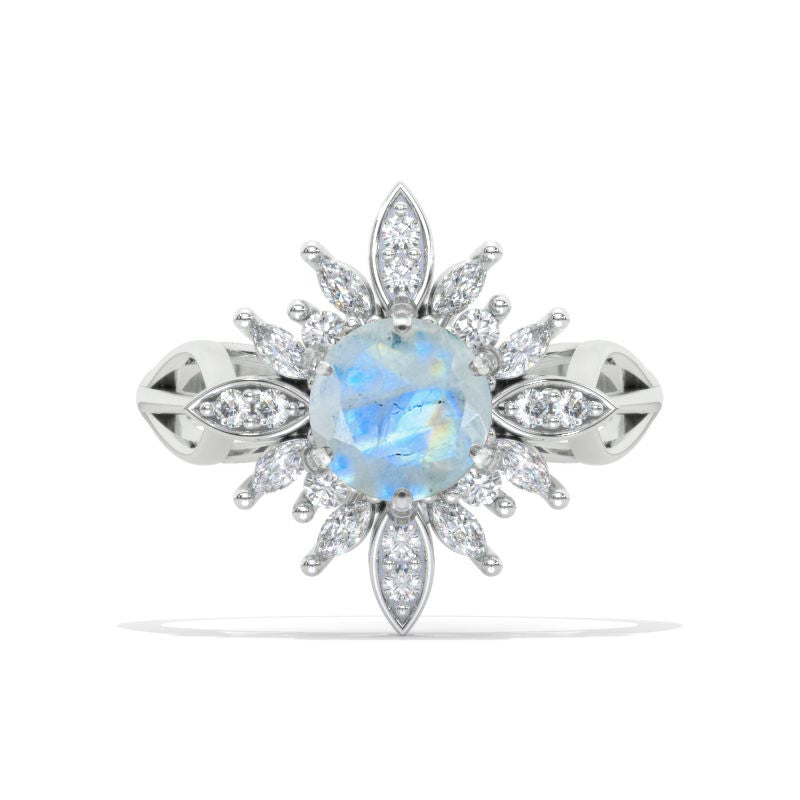 clio-https://clio.giliarto.com/ring/1/1130