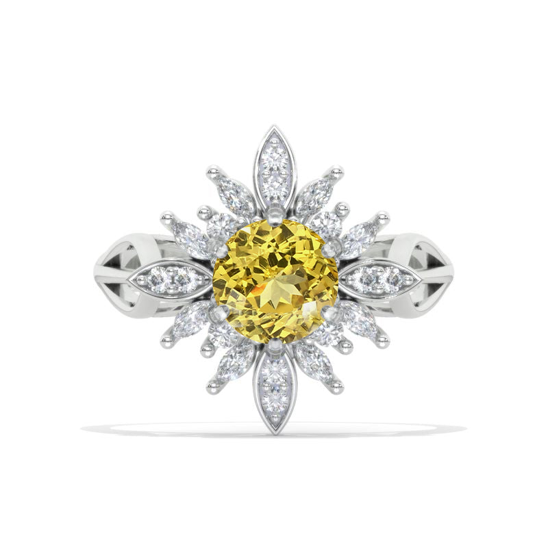 clio-https://clio.giliarto.com/ring/1/1130
