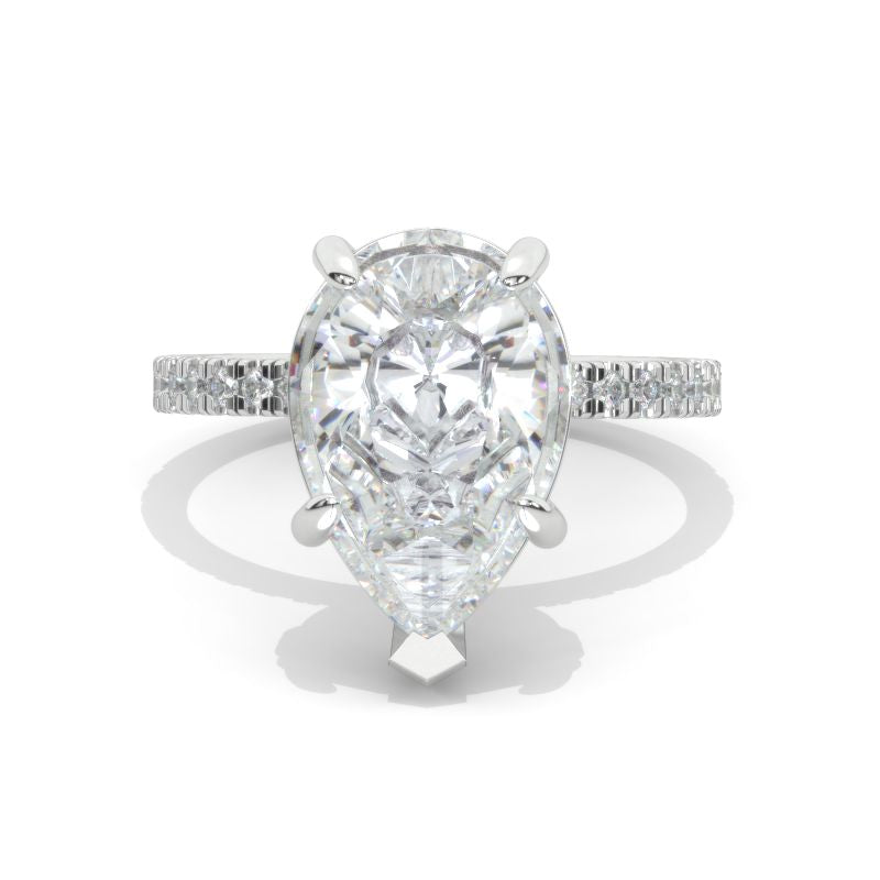 clio-https://clio.giliarto.com/ring/1/1146