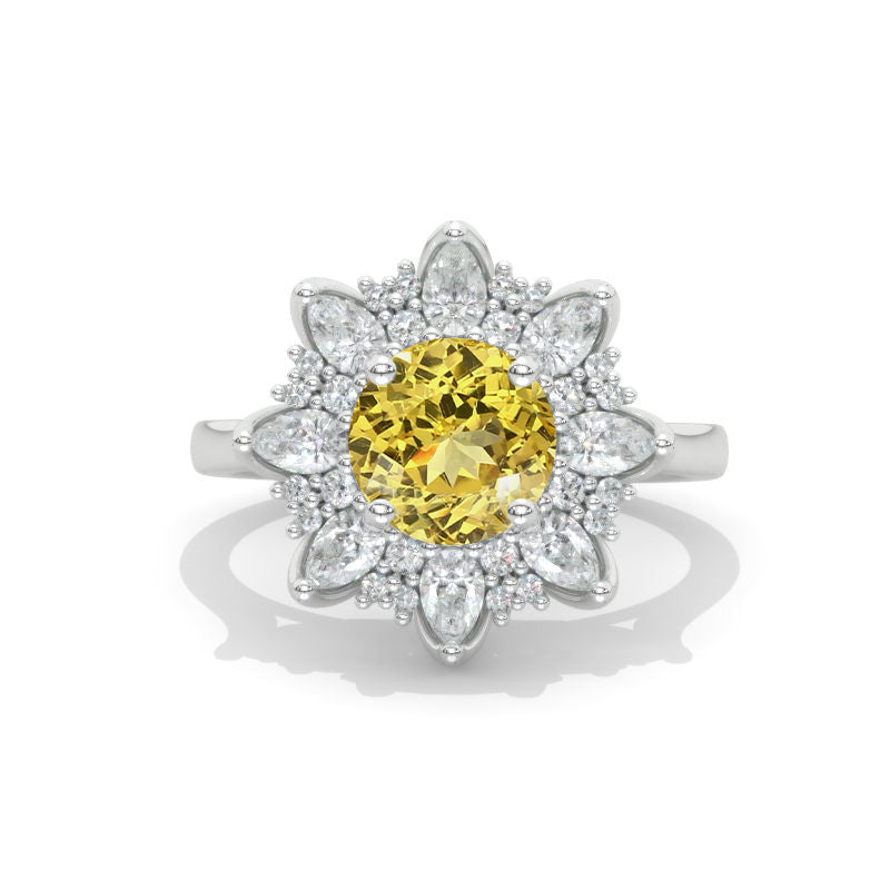 clio-https://clio.giliarto.com/ring/1/1025
