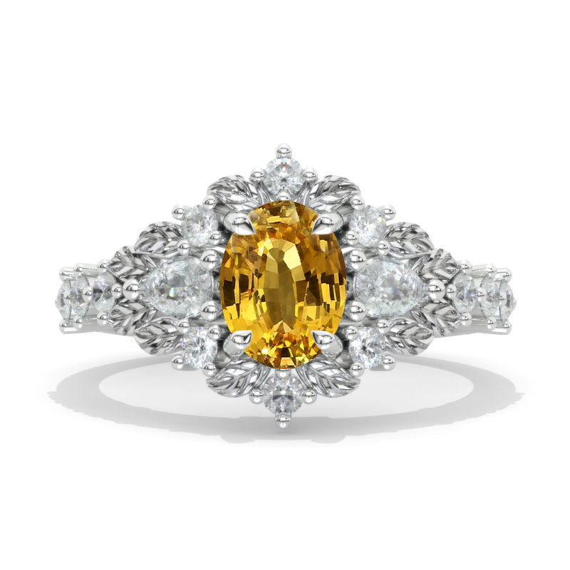 clio-https://clio.giliarto.com/ring/1/1031
