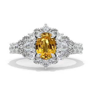 clio-https://clio.giliarto.com/ring/1/1028

