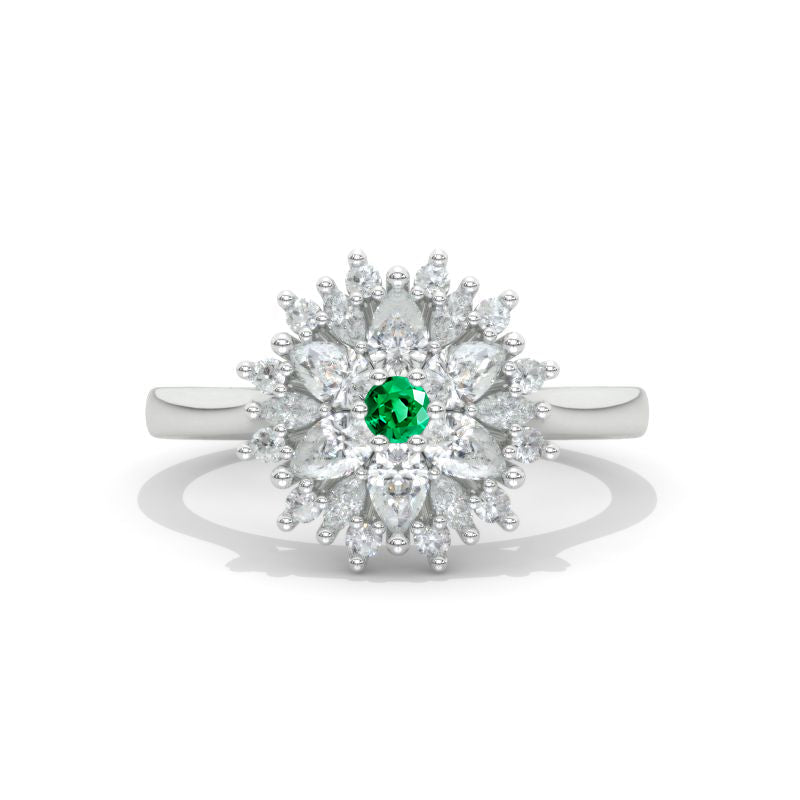 clio-https://clio.giliarto.com/ring/1/1032
