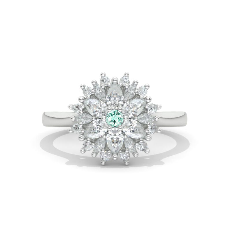 clio-https://clio.giliarto.com/ring/1/1032
