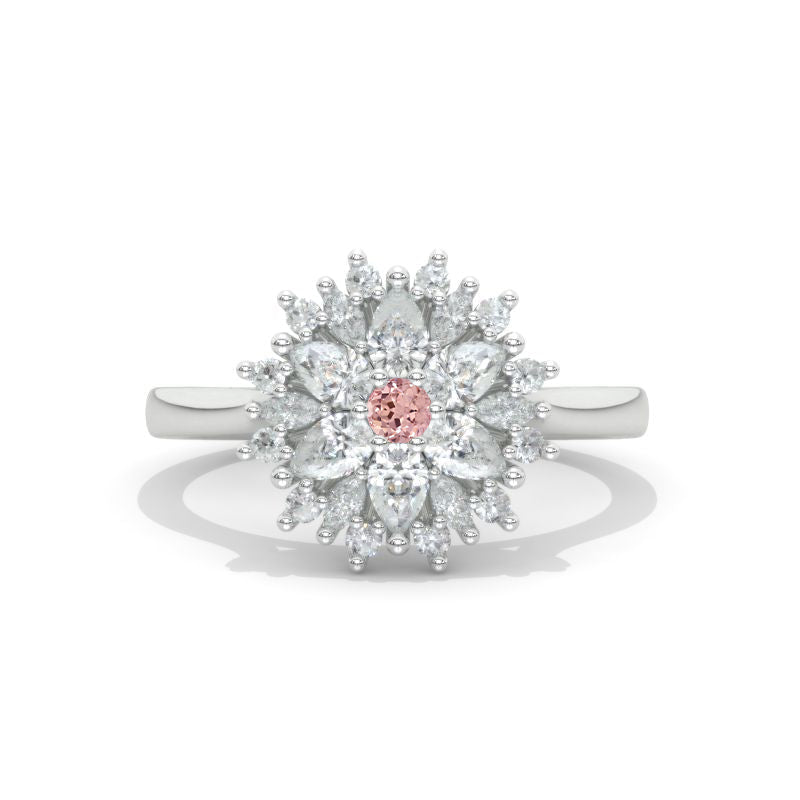 clio-https://clio.giliarto.com/ring/1/1032
