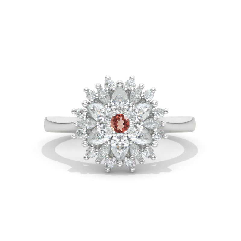 clio-https://clio.giliarto.com/ring/1/1032
