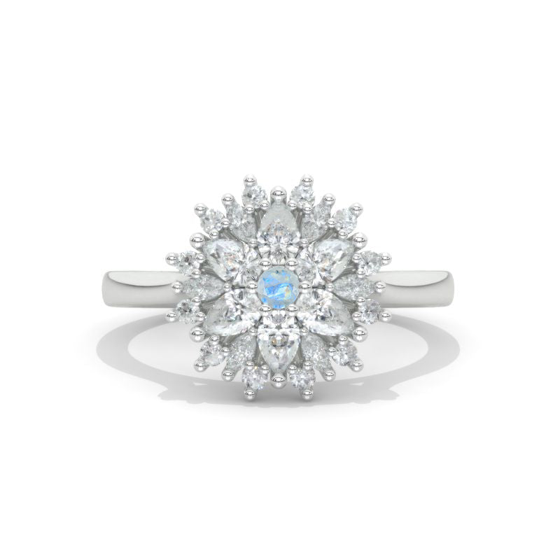 clio-https://clio.giliarto.com/ring/1/1032
