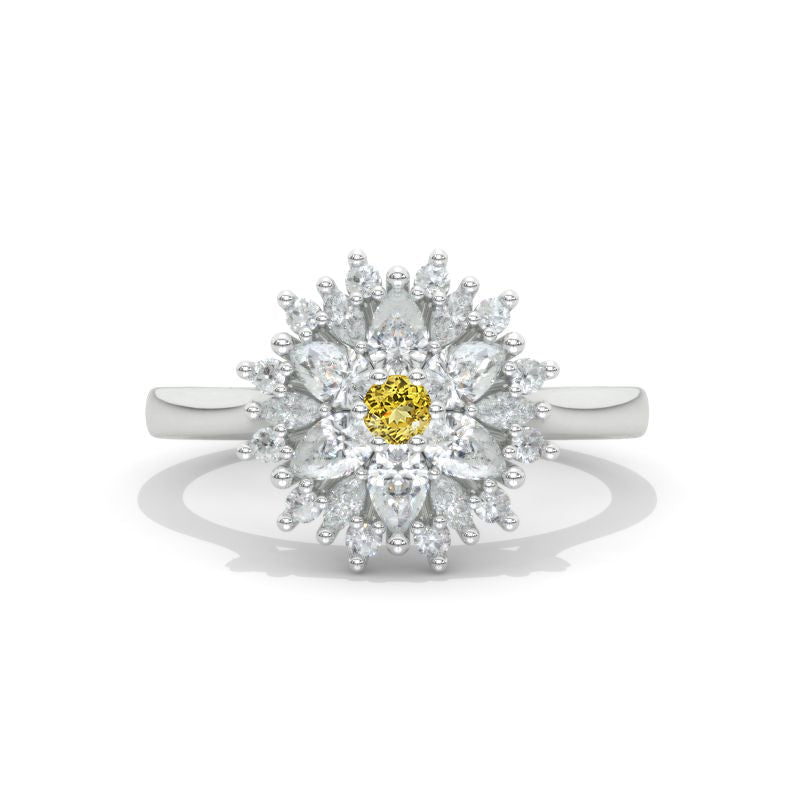 clio-https://clio.giliarto.com/ring/1/1032
