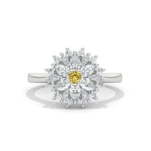 clio-https://clio.giliarto.com/ring/1/1028
