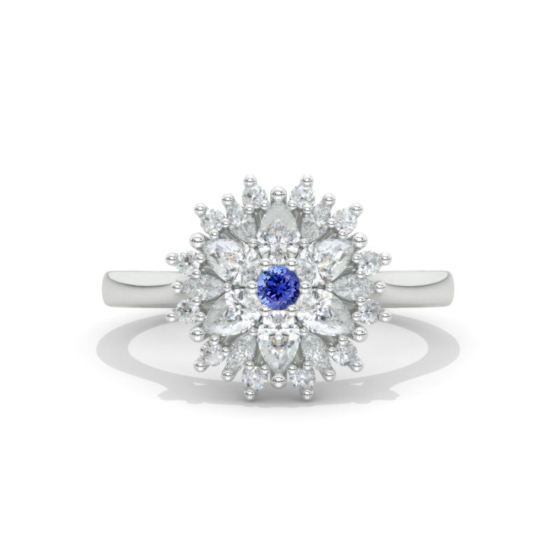 clio-https://clio.giliarto.com/ring/1/1032
