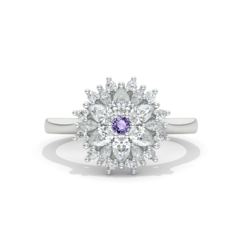 clio-https://clio.giliarto.com/ring/1/1032
