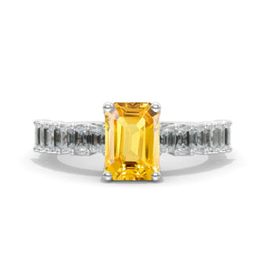 clio-https://clio.giliarto.com/ring/1/1028
