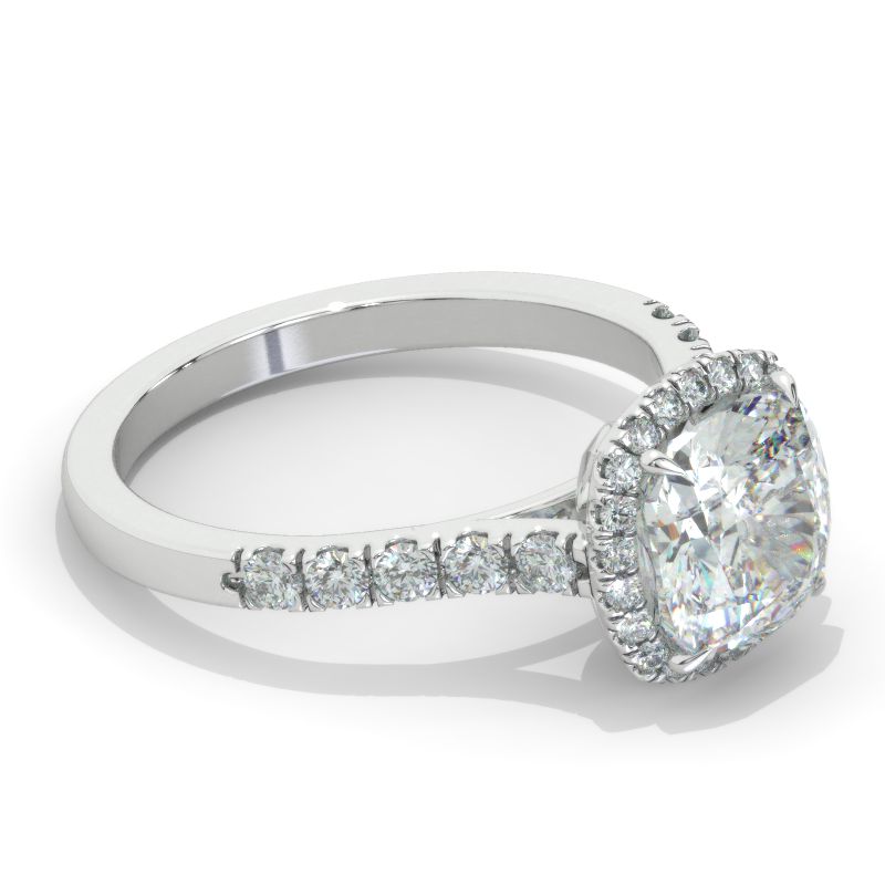 clio-https://clio.giliarto.com/ring/1/1205