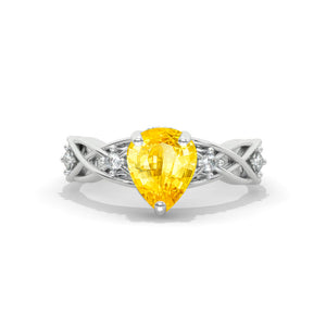 clio-https://clio.giliarto.com/ring/1/1242

