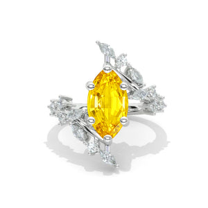 clio-https://clio.giliarto.com/ring/1/1242
