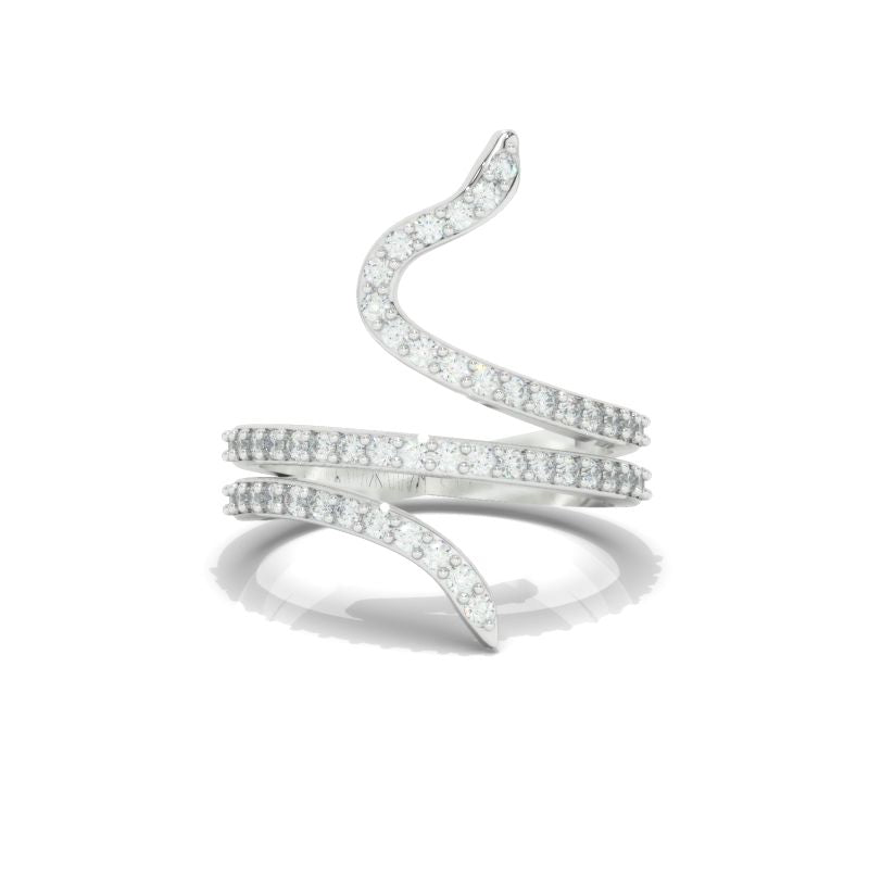 clio-https://clio.giliarto.com/ring/1/1300