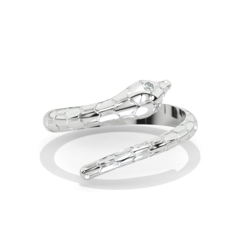 clio-https://clio.giliarto.com/ring/1/1301